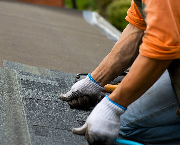 Professional Roofing Contractor in Alliance, NC