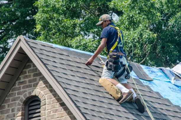 Best Roof Gutter Cleaning  in Alliae, NC